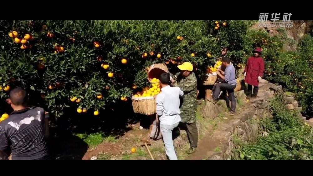 
天津肿瘤医院黄牛代挂号电话票贩子号贩子网上预约挂号,住院检查加快,祝福中国｜兔岁年丰