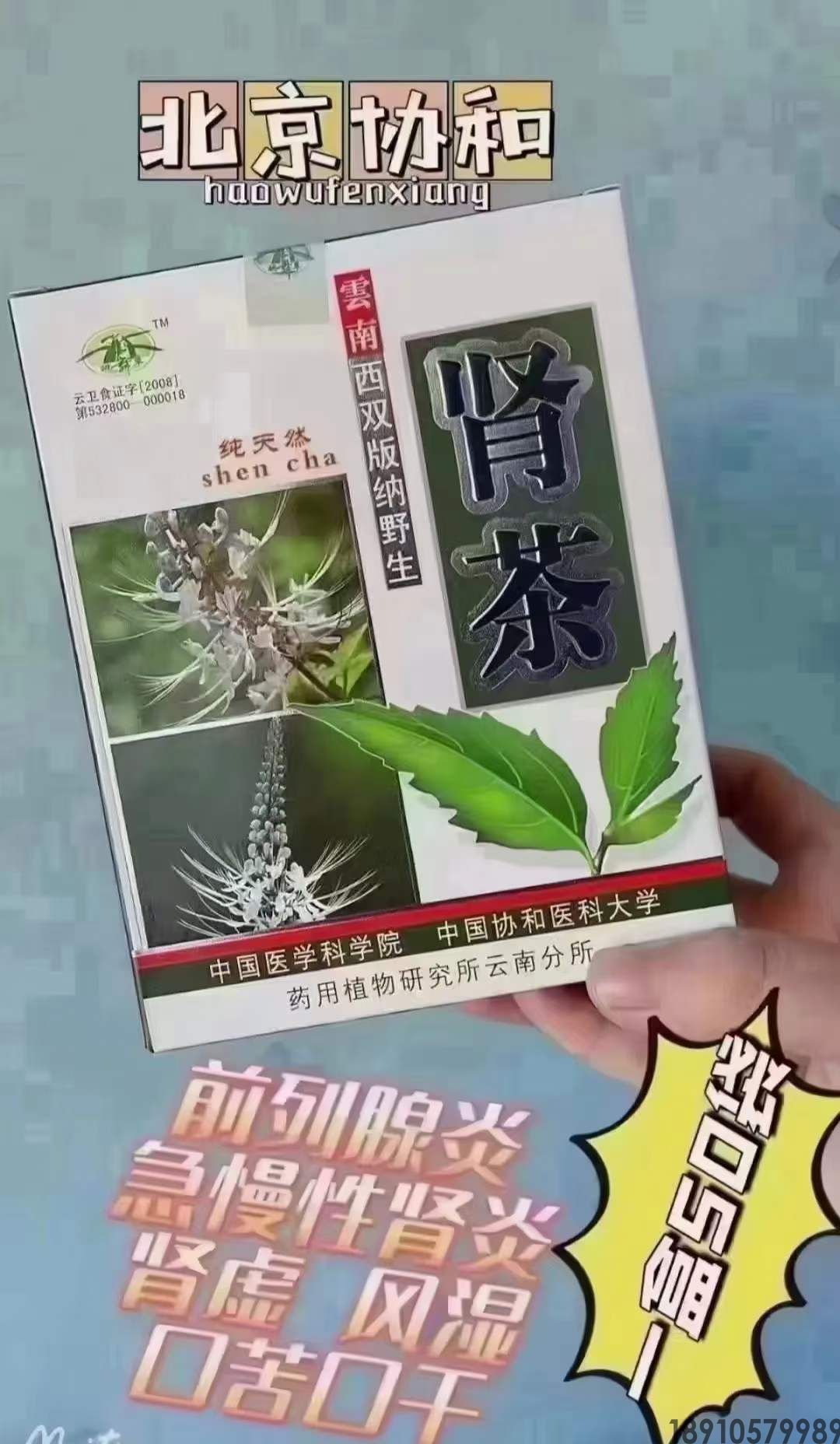 肾茶